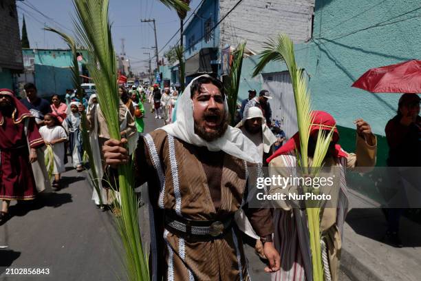 Young man is holding palms to celebrate Palm Sunday and the Holy Week festivities in Mexico City.