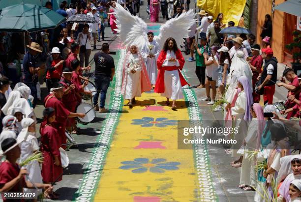 Young man is dressed as Jesus Christ on the streets of Culhuacan in the southern end of Mexico City, representing the Triumphal Entry as part of the...