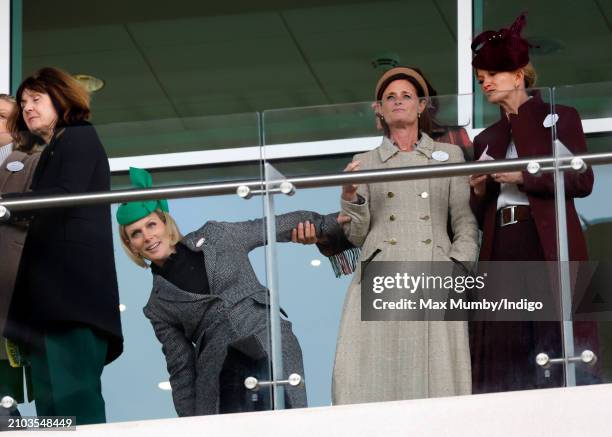 Zara Tindall holds onto Dolly Maude as they watch the racing on day 3 'St Patrick's Thursday' of the Cheltenham Festival at Cheltenham Racecourse on...