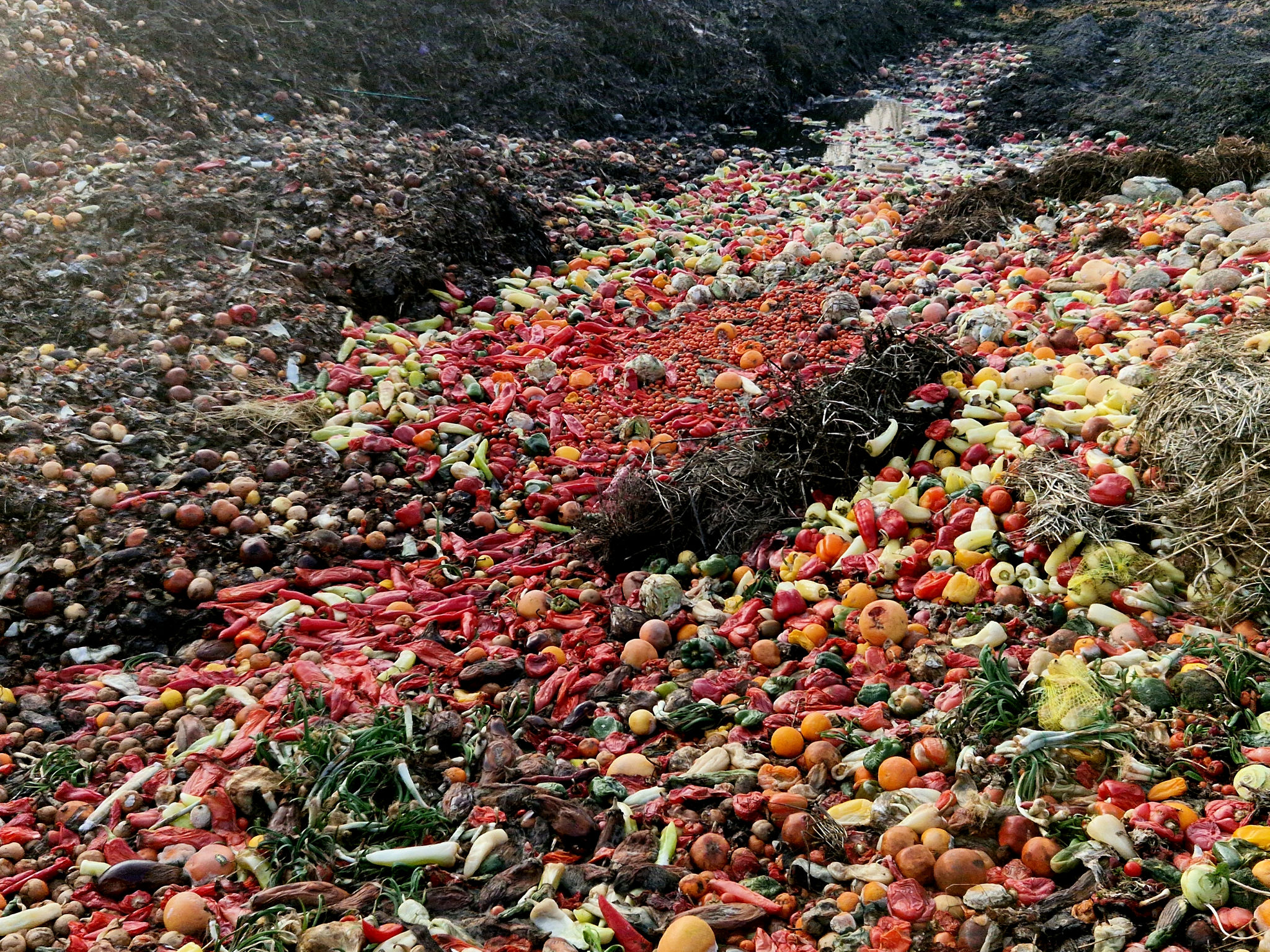 food waste