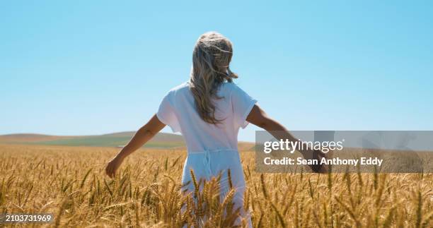 woman, freedom and peace in outdoor wheat field, spring and relax in nature by blue sky. female person, back and travel to meadow on summer holiday or vacation, mockup space and trip to countryside - white dress stock pictures, royalty-free photos & images