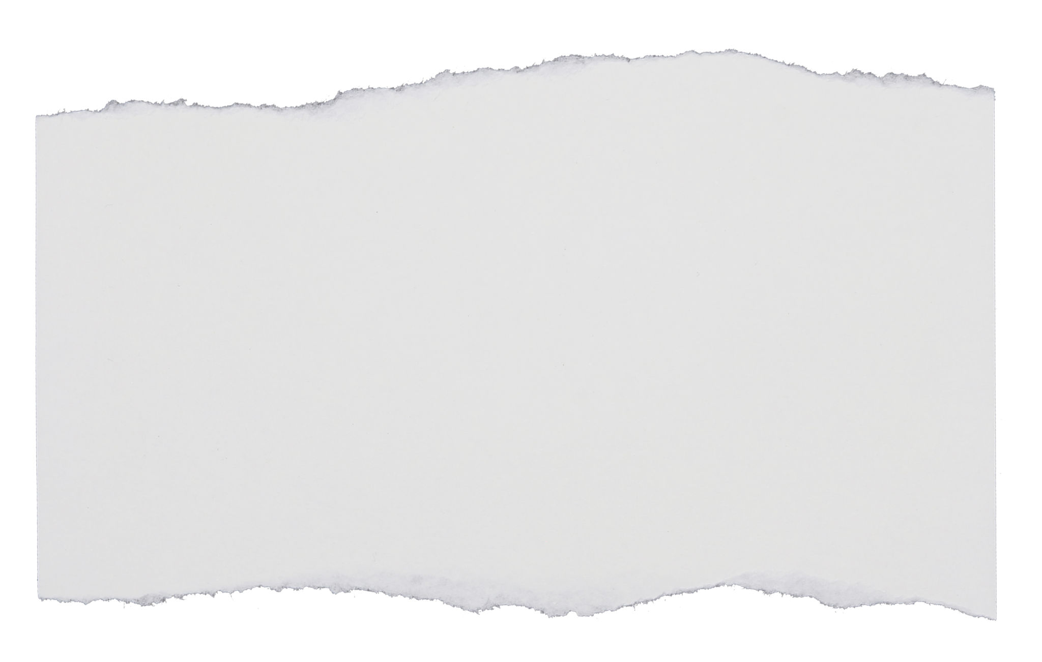 transparency report