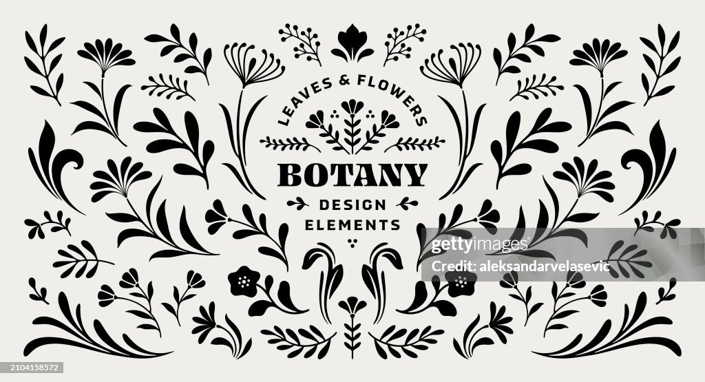 Flowers and Leaves Design Elements