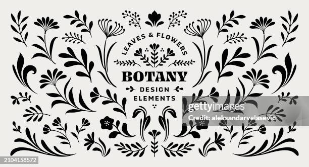 bildbanksillustrationer, clip art samt tecknat material och ikoner med flowers and leaves design elements - blommönster