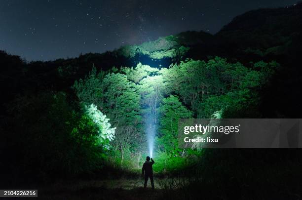 éclairage de la jungle - lampe de poche photos et images de collection