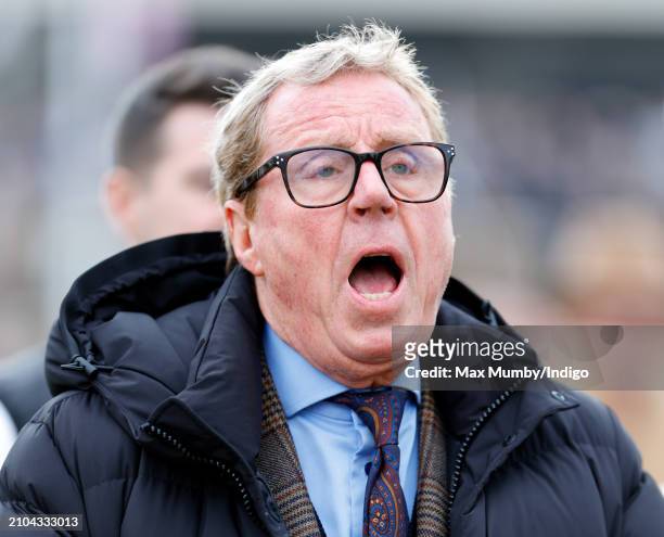 Harry Redknapp watches his horse 'The Jukebox Man' run in the Albert Bartlett Novices' Hurdle on day 4 'Gold Cup Day' of the Cheltenham Festival at...