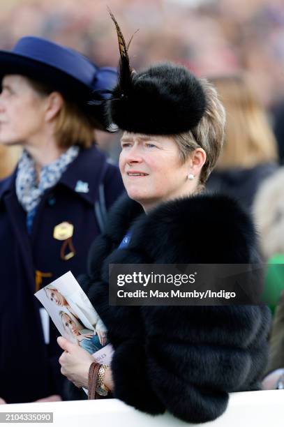 Baroness Dido Harding attends day 4 'Gold Cup Day' of the Cheltenham Festival at Cheltenham Racecourse on March 15, 2024 in Cheltenham, England.