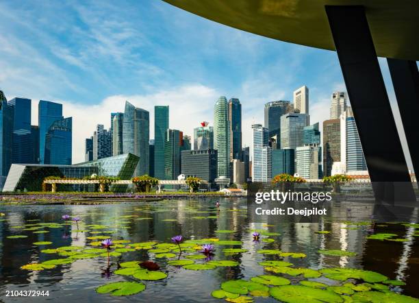view of singapore city skyline with pond in foreground - singapore pool stock pictures, royalty-free photos & images