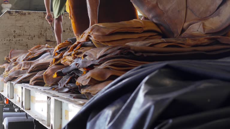 Rubber Extraction Process 48 Formula Truck Stock Videos, Footage, & 4K Video Clips - Getty Images
