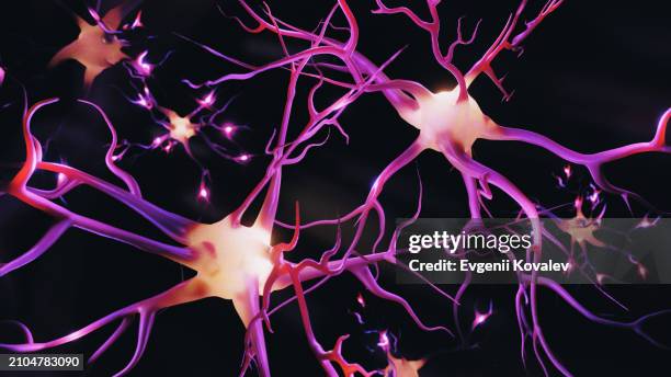 3d visualization of neurons and neural network - nervous tissue stock pictures, royalty-free photos & images