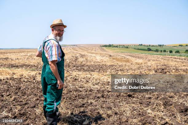 cheerful white-bearded farmer on an agricultural field. - gold shoe stock pictures, royalty-free photos & images