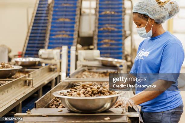 At the Benin KAJU fabric, workers select, separate, clean and pack cashew nuts in a production hall on March 07, 2024 in Glo-Djigbe, Benin.