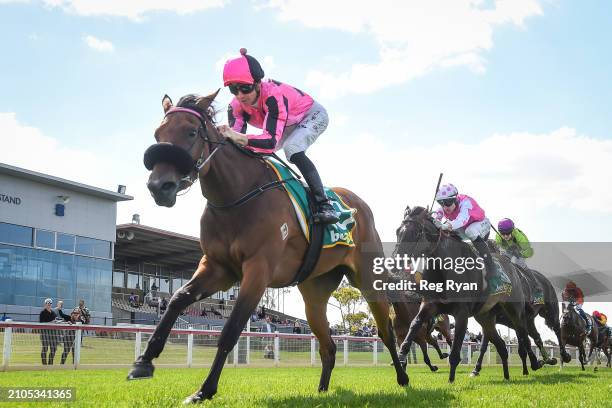 Neil Roderick 184 Neil Roderick Stock Photos, High-Res Pictures, and Images - Getty ...