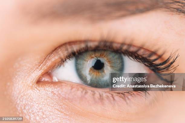 macro image of woman's eye gray-green and brown - blue mascara stockfoto's en -beelden