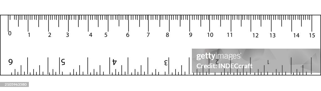 Scale vector
