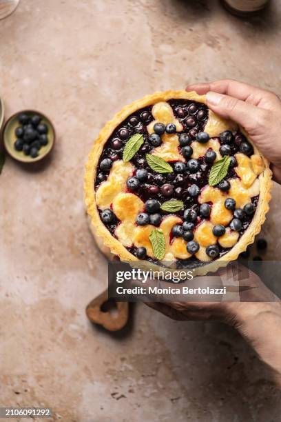 fresh organic blueberries pie baked, held by human hands - blueberry pie isolated stock pictures, royalty-free photos & images