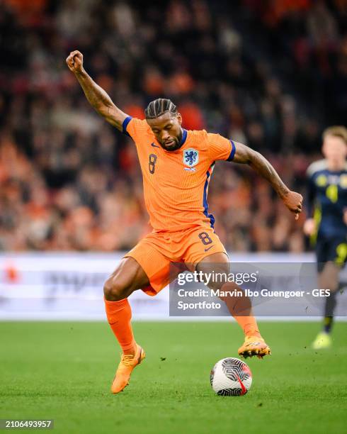 Georginio Wijnaldum of the Netherlands controls the ball during the friendly match between Netherlands and Scotland at Johan Cruyff Arena on March...