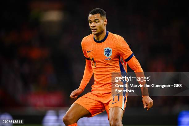 Cody Gakpo of the Netherlands looks on during the friendly match between Netherlands and Scotland at Johan Cruyff Arena on March 22, 2024 in...