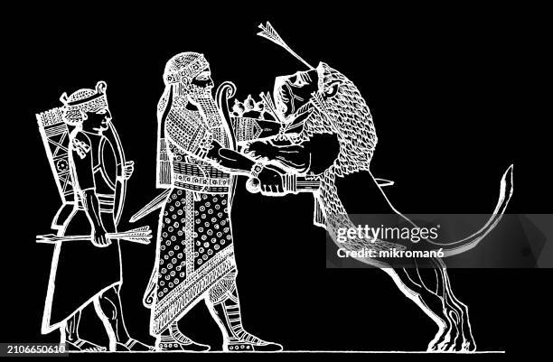 old engraved illustration of assyrian king ashurbanipal hunting a lion (neo-assyrian palace at nineveh reliefs) - drawings of lion heads stock pictures, royalty-free photos & images