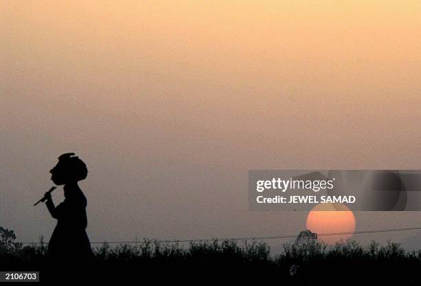Leaving the rising sun behind, an Afghan refugee woman walks back to her camp after collecting fire-wood on the outskirts of Islamabad, 20 June 2003,...