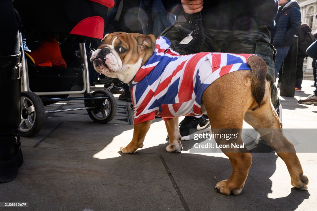 Rally For British Culture At The Cenotaph