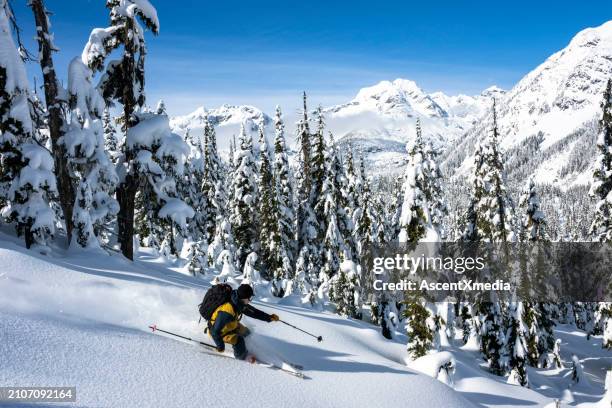 backcountry skier descends slope through forest - esqui fora de pista imagens e fotografias de stock
