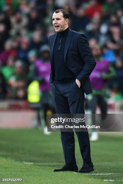 John O'Shea, Interim Head Coach of Republic of Ireland, looks on during the international friendly match between Republic of Ireland and Belgium at...