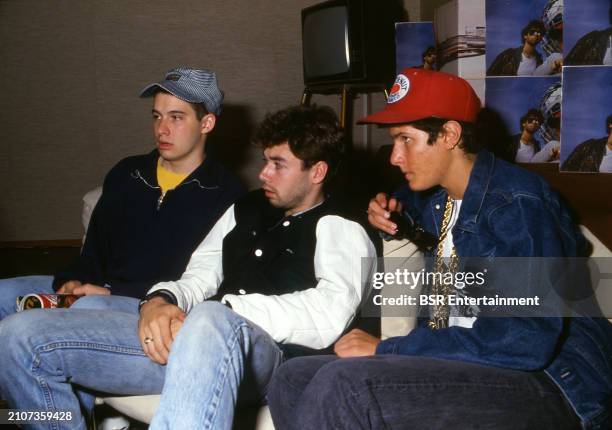 American hip hop group The Beastie Boys