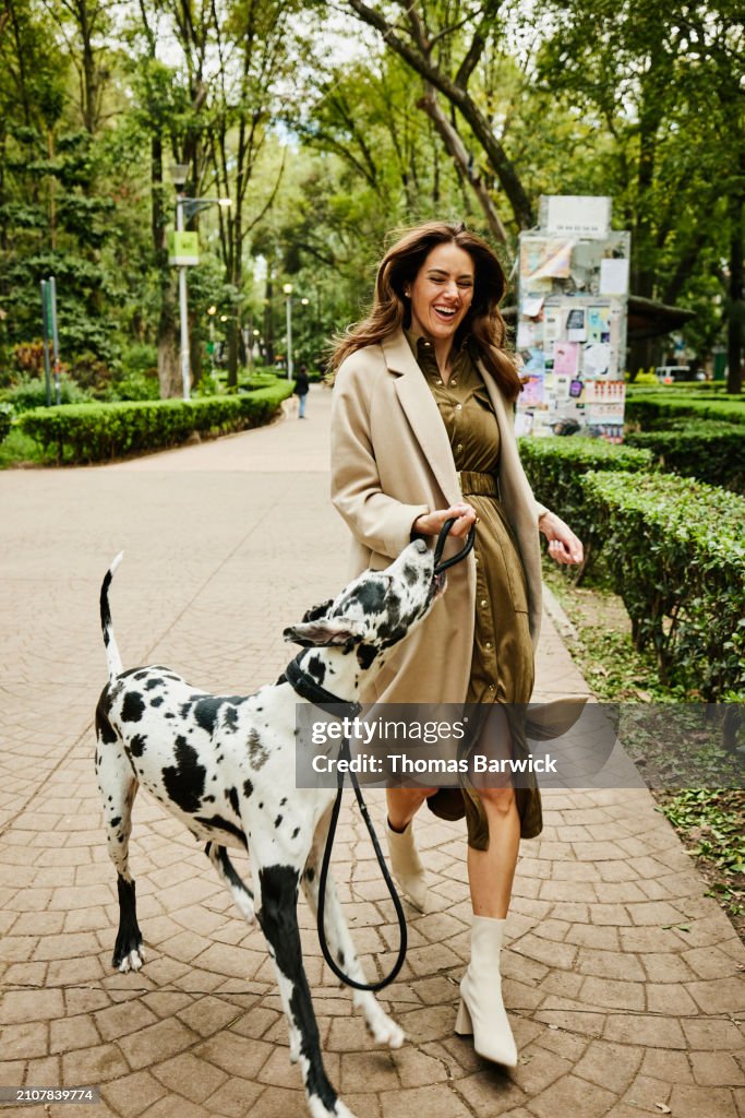 Wide shot laughing woman taking Great Dane on morning walk in park