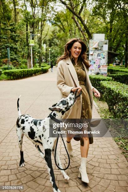 wide shot laughing woman taking great dane on morning walk in park - beige boot stock pictures, royalty-free photos & images