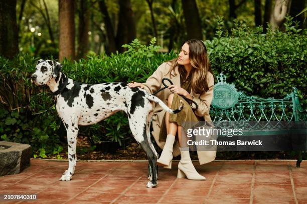 wide shot woman petting great dane while sitting on park bench - beige boot stock pictures, royalty-free photos & images