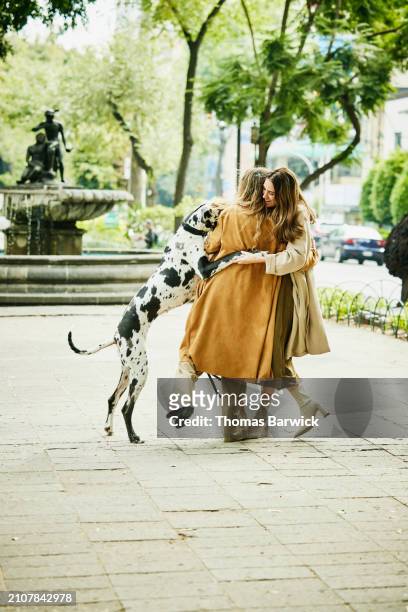 wide shot couple embracing with great dane while meeting in city park - beige boot stock pictures, royalty-free photos & images