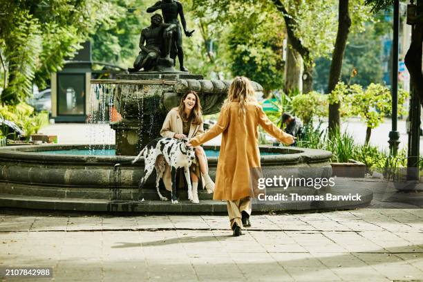 wide shot of smiling couple greeting each other in city park - long coat stock pictures, royalty-free photos & images
