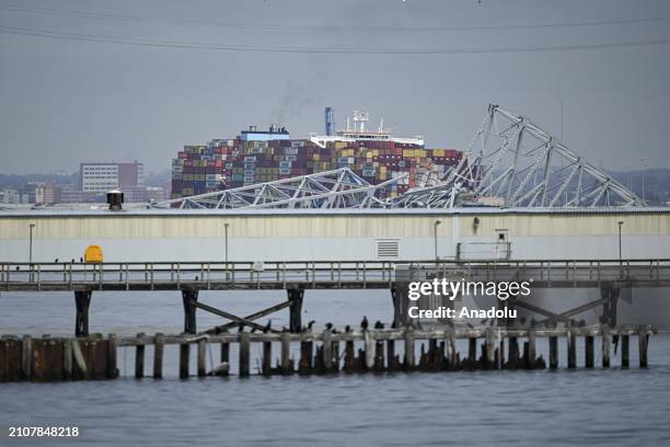 Md Bridge 5,291 Maryland Bridge Stock Photos, High-Res Pictures, and Images ...