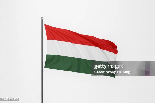 hungary flag on white background - hungarian flag stock pictures, royalty-free photos & images