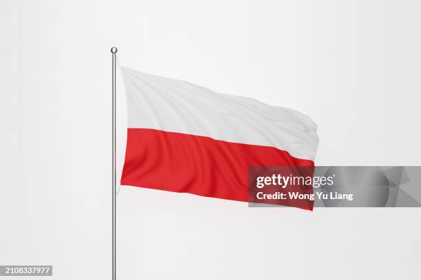 poland flag with white background - fahnenstange stock-fotos und bilder