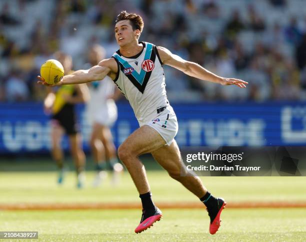 Connor Rozee Photos and Premium High Res Pictures - Getty Images