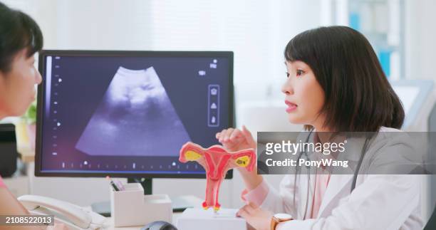 asian doctor uterine model explain - myometrium stock-fotos und bilder