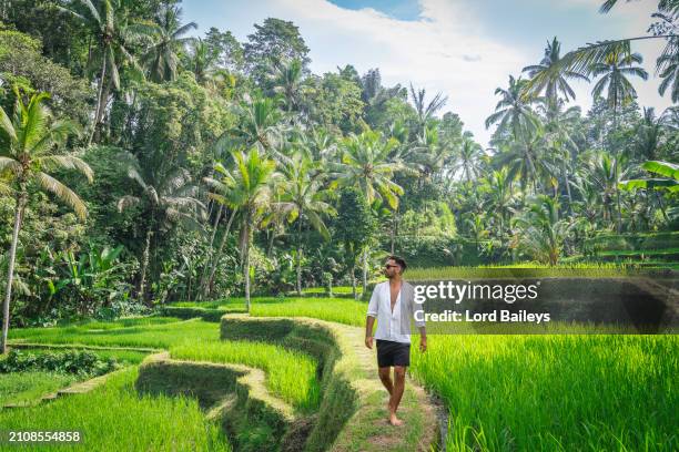 joven en la terraza de arroz de tegalalang en bali - cultura indonesia fotografías e imágenes de stock