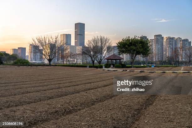 the fields of the city - chinese famine stock pictures, royalty-free photos & images