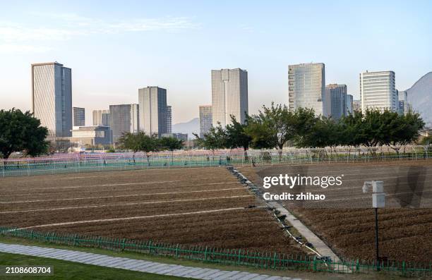 new arable land in the city - chinese famine stock pictures, royalty-free photos & images