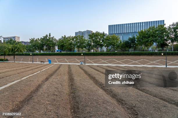 newly cultivated land in the city - chinese famine stock pictures, royalty-free photos & images