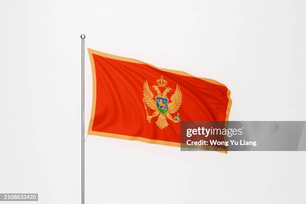 montenegro flag with white background - montenegro flag stock pictures, royalty-free photos & images