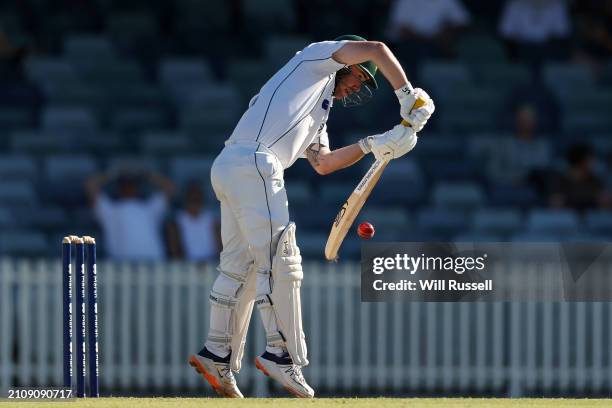 Jake Doran of Tasmania bats during day four of the Sheffield Shield Final match between Western Australia and Tasmania at WACA, on March 24 in Perth,...