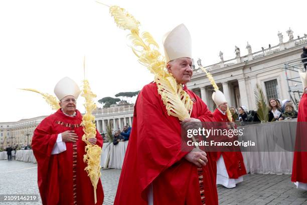 Canadian cardinal Marc Ouellet arrives in procession at St. Peter's Square for Palm Sunday Mass presided by Pope Francis on March 24, 2024 in Vatican...