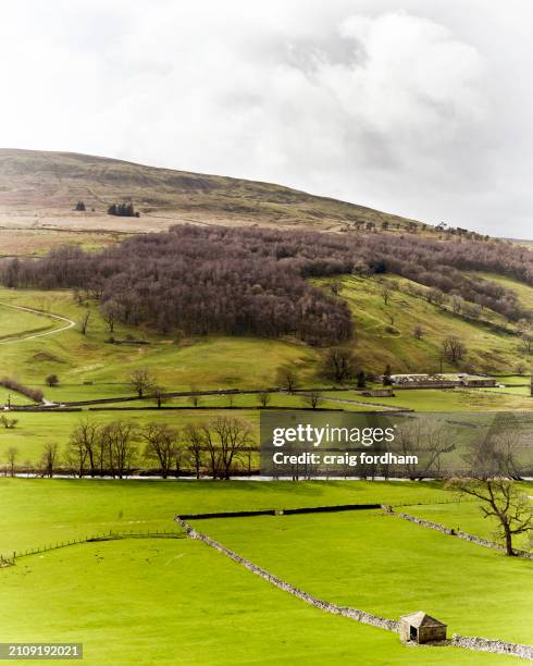 yorkshire dales winter.spring - north yorkshire dales stock pictures, royalty-free photos & images