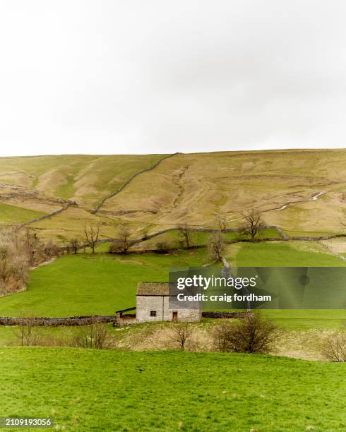 yorkshire dales winter.spring - north yorkshire dales stock pictures, royalty-free photos & images