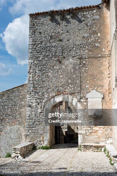 Labro 1,255 Labro Stock Photos, High-Res Pictures, and Images - Getty Images