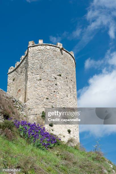 Labro 1,255 Labro Stock Photos, High-Res Pictures, and Images - Getty Images