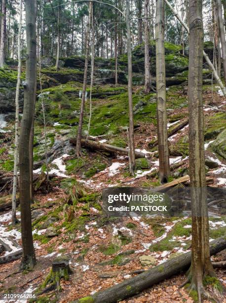 rock formations in szklarka ravine - moss stock pictures, royalty-free photos & images
